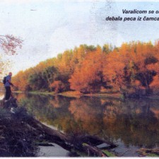 Kako uhvatiti smuđa u panjevima