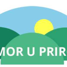 Portal 