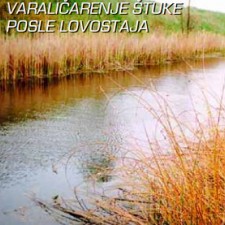 Varaličarenje štuke posle lovostaja
