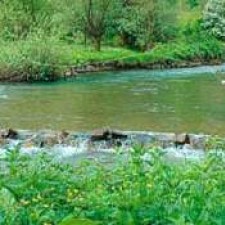 Jedan dan na reci Gradac