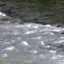 Divlja i divna banatska reka Karaš