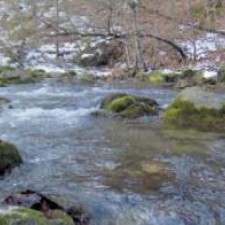 Rzav, zaboravljena reka mog detinjstva
