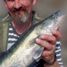 Nemo' da te bije maler