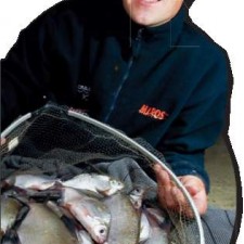 Feederom po mesečini