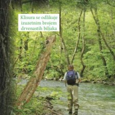 Kada želim da kažem božansveno, kažem Gradac