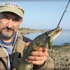 Gružansko jezero Knić