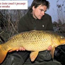 Zimski šaran