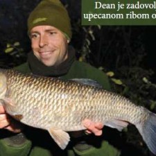 Pecanje klenova