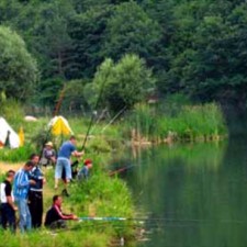 Divljansko jezero