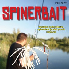 Spinerbait
