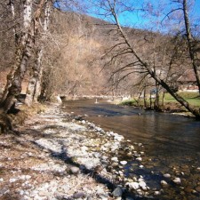Rezervat ili sloboda