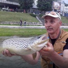 UZBUNA U UŽICU - Kako je jedna pastrmka uspela da blokira centar grada