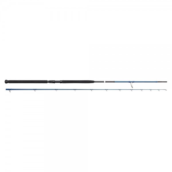 Savage Gear SGS2 Shore Jigging (Varaličarski štapovi) - www.sportskiribolov.co.rs