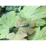 Savage Gear 3D TPE Mayfly Nymph 5cm (Meke varalice) - www.sportskiribolov.co.rs